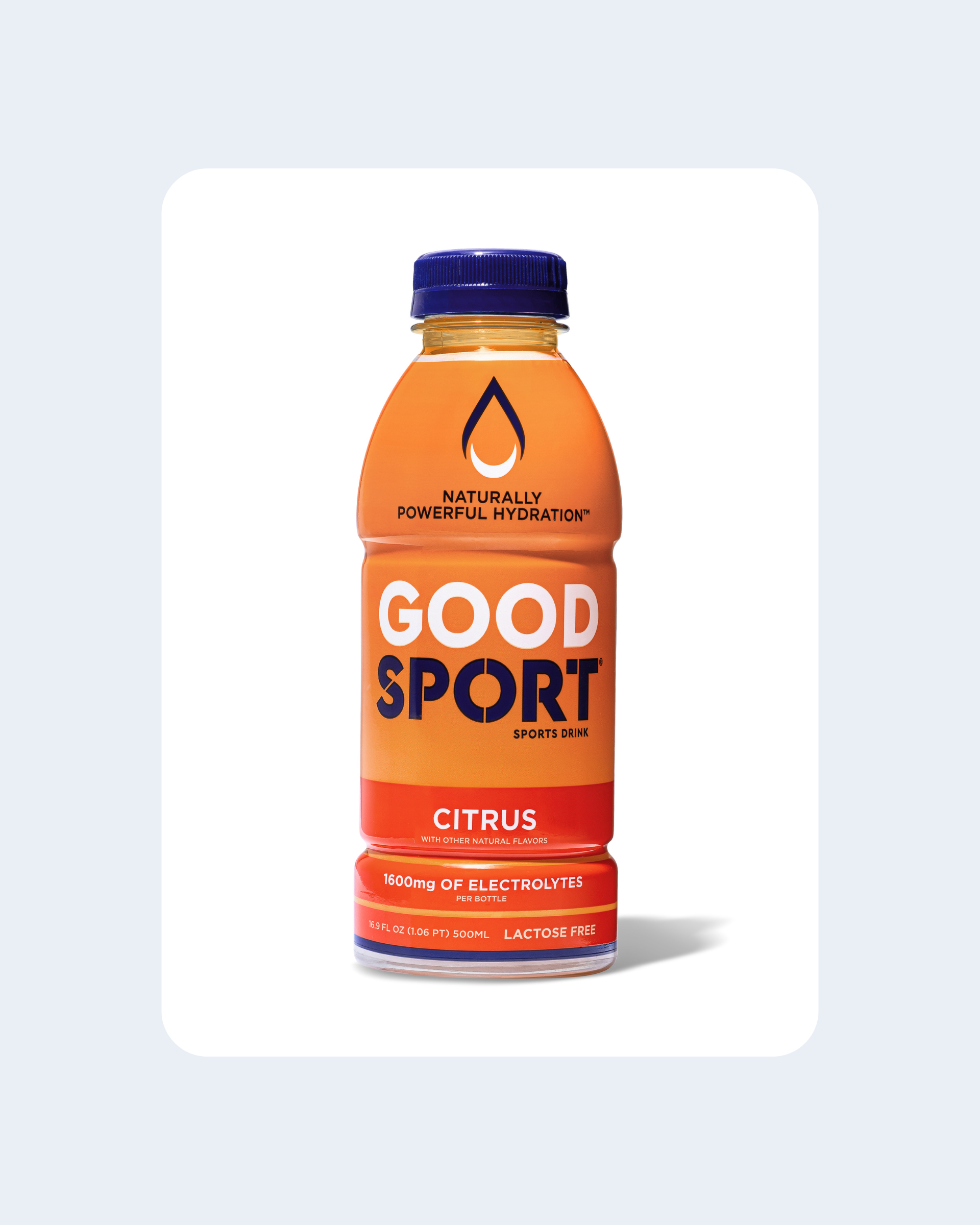 Citrus Electrolyte Sports Drink