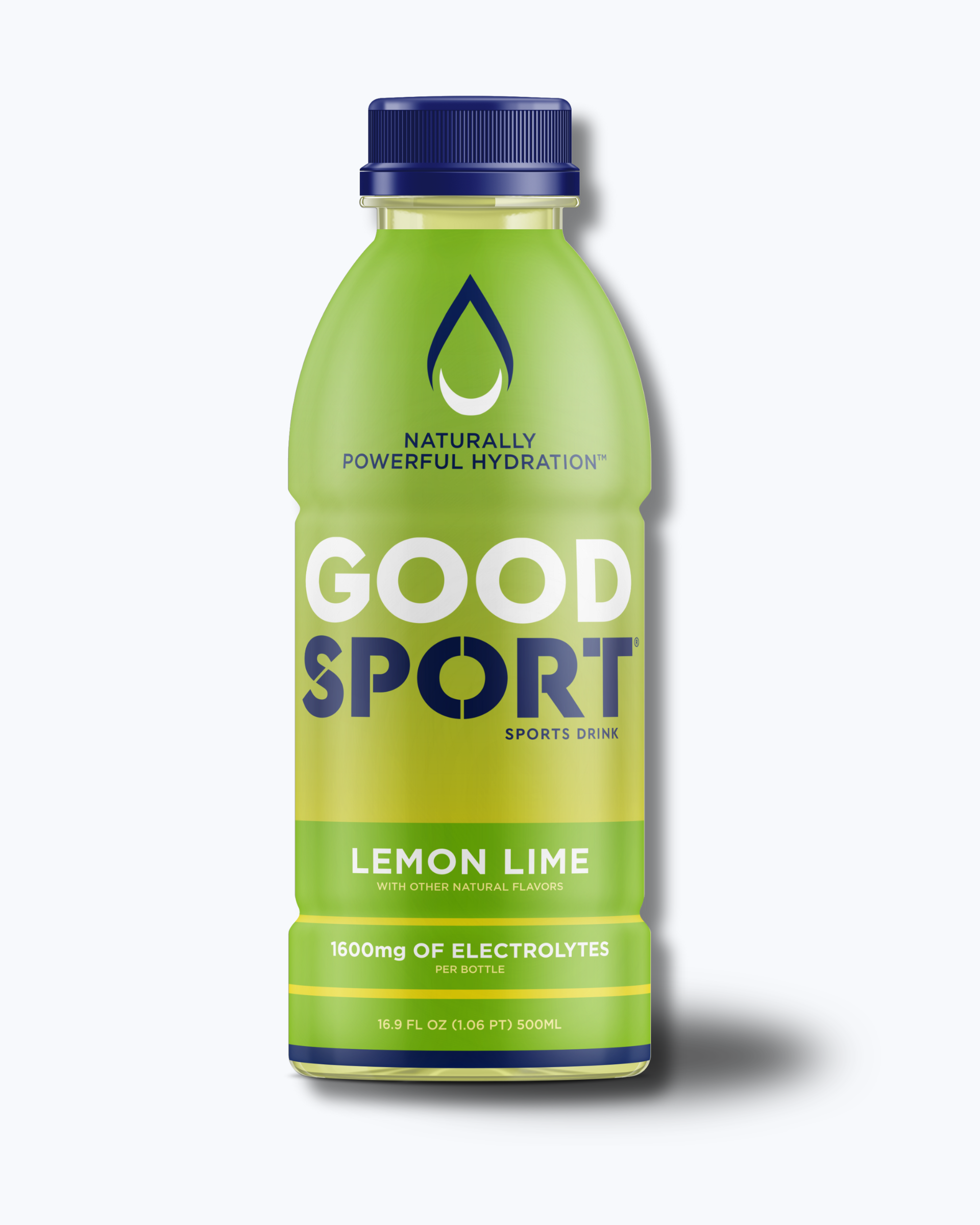 Lemon Lime Electrolyte Sports Drink (12 count)