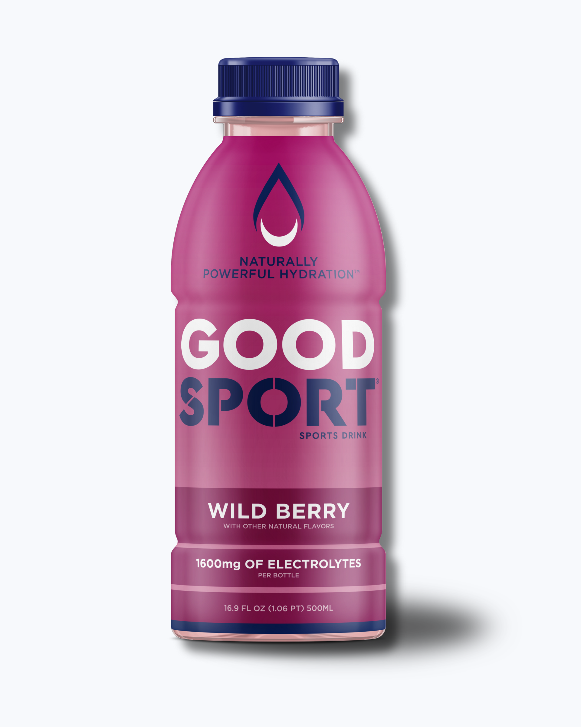 Wild Berry Electrolyte Sports Drink (12 count)