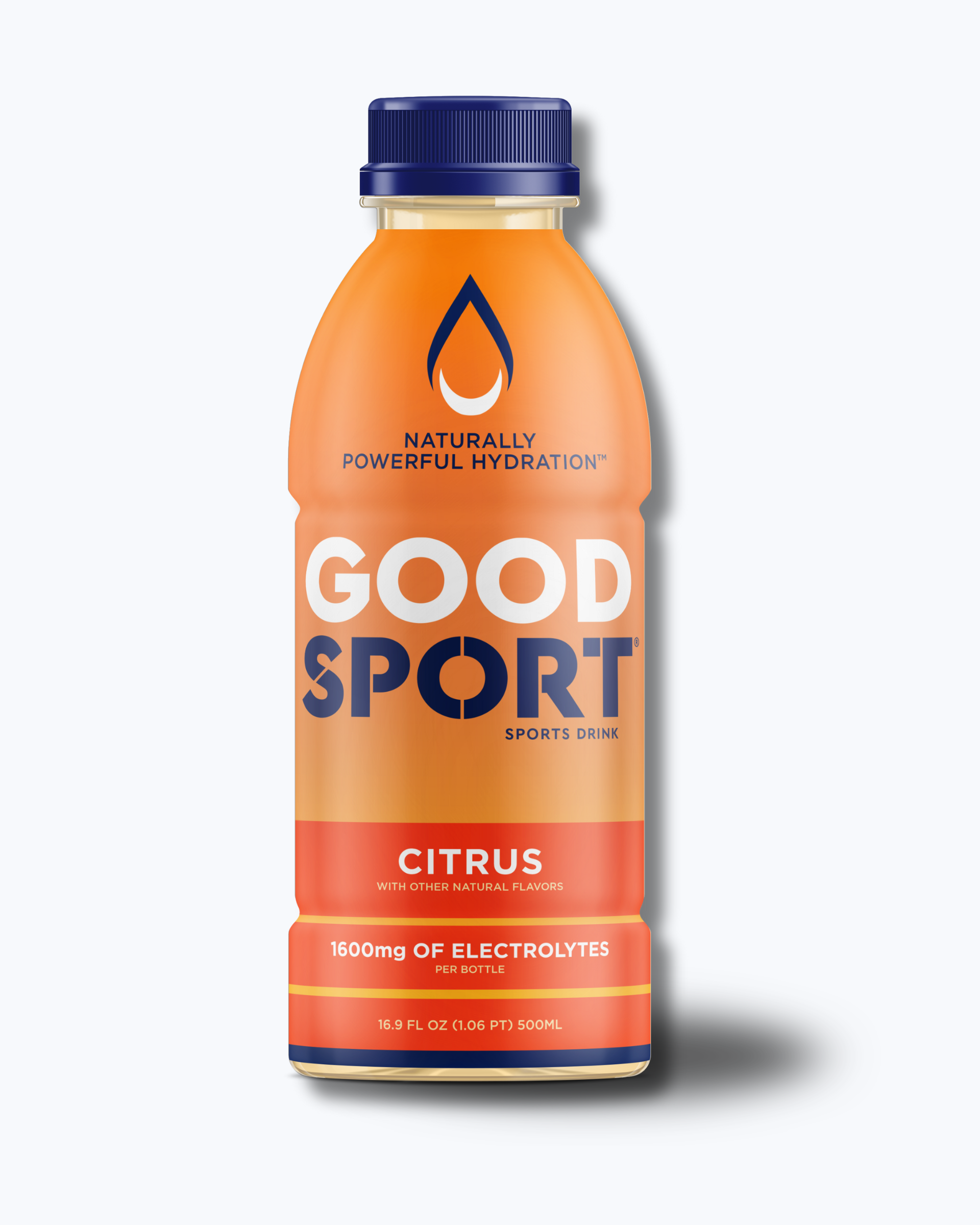 Citrus Electrolyte Sports Drink (12 count)