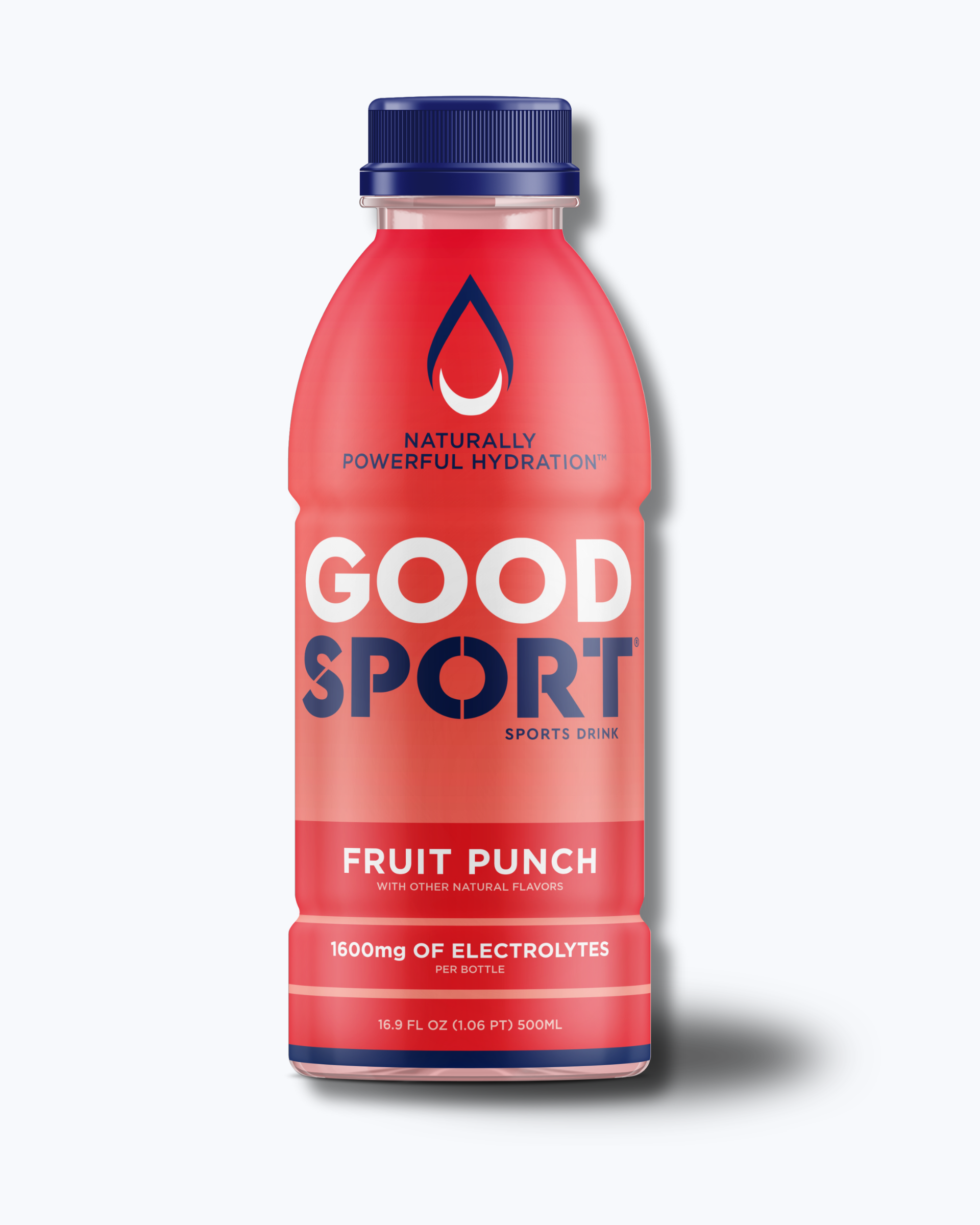 Fruit Punch Electrolyte Sports Drink (12 count)