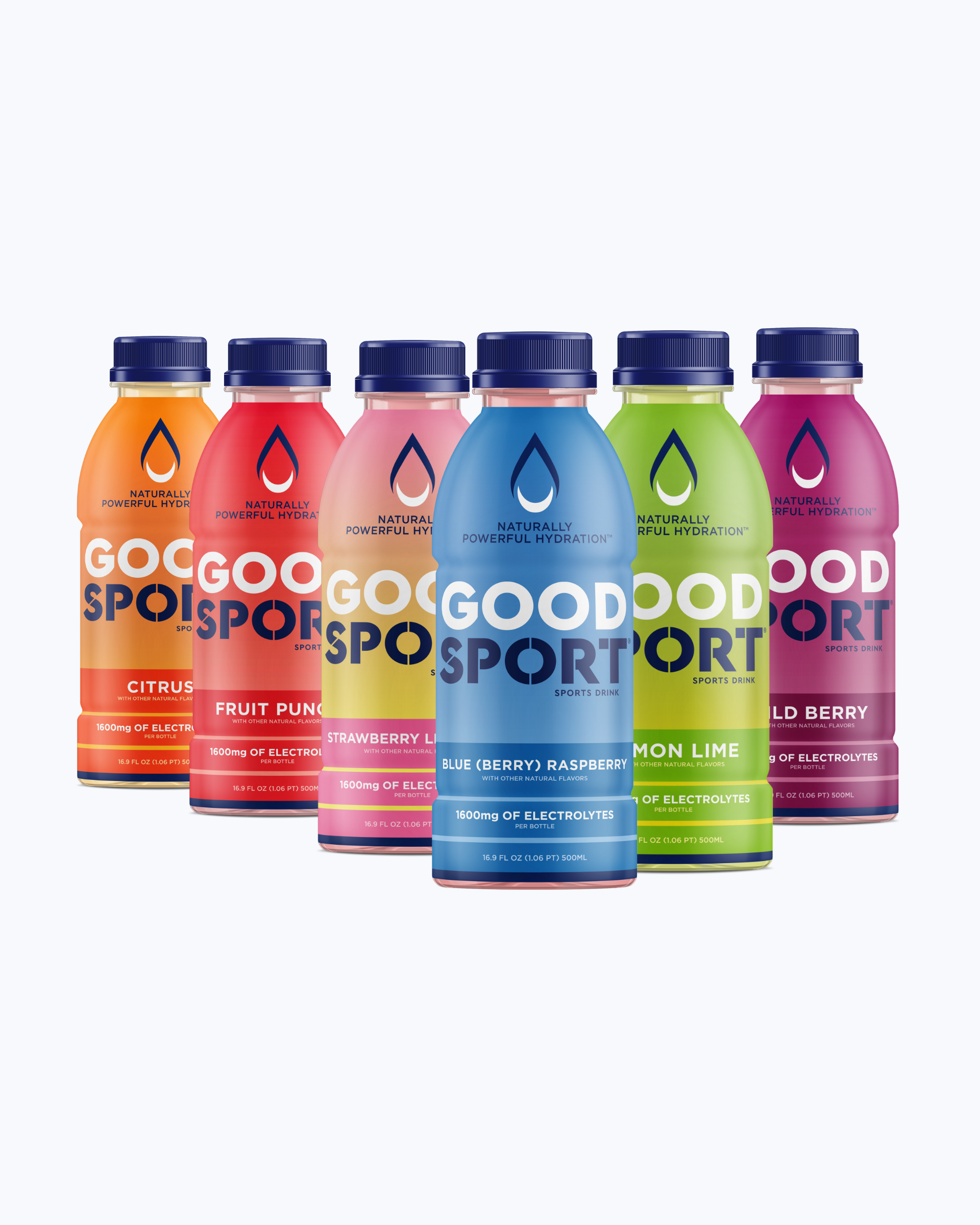Sample Pack Electrolyte Sports Drink (6 count)