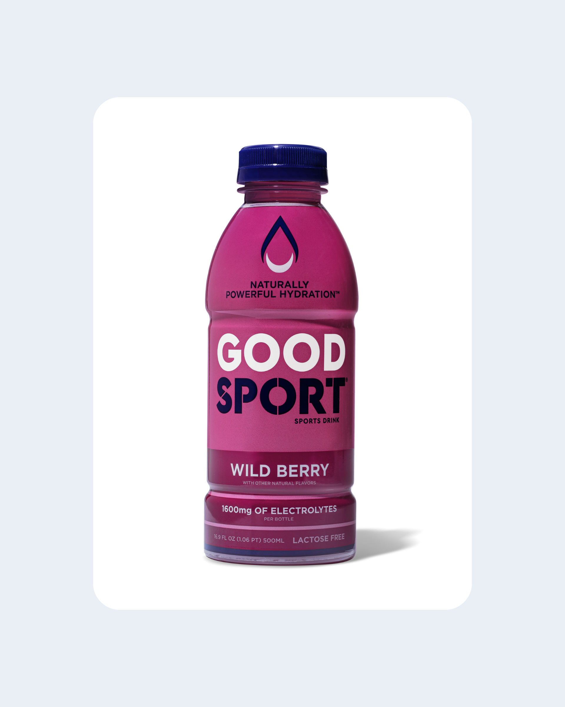 Wild Berry Electrolyte Sports Drink