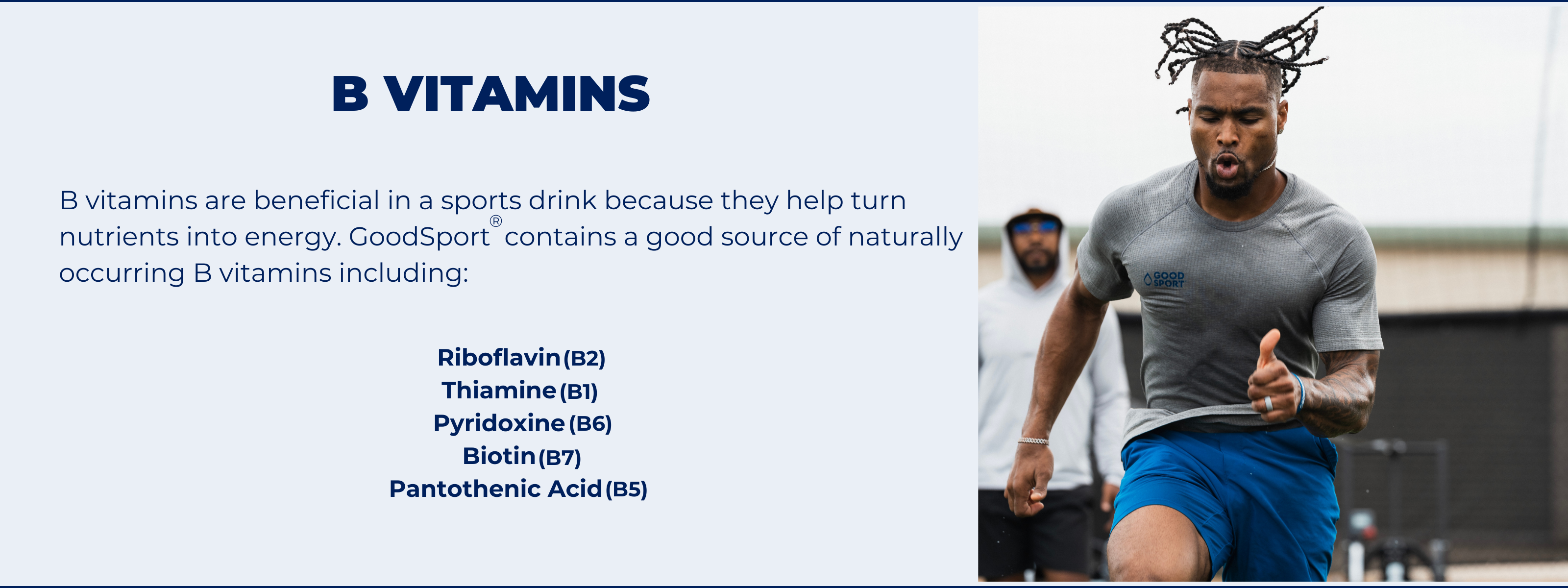 B vitamins: Riboflavin, Thiamine, Pyridoxine, Biotin, Pantothenic Acid